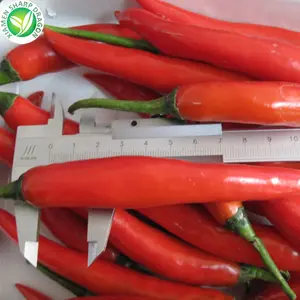 Wholesale Hot Pepper Frozen Red Chilli