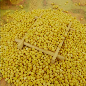 Moong dhal hulled Split Green Mung Bean moong DAL 2025 Trung Quốc vigna Xanh đậu xanh - Product Image 3