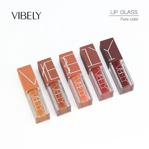 Grosir lip gloss untuk 10 tahun-OEM Lip Gloss Label Pribadi Awet, Cair Matte Lima Warna Tahan Air dan Tahan Lama