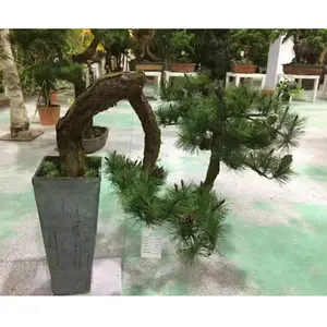 Toptan fabrika çıkış fiyatı 40cm yükseklik yapay Bonsai çam ağacı bitki, kapalı Mini yeşil çam ağacı yapay satılık