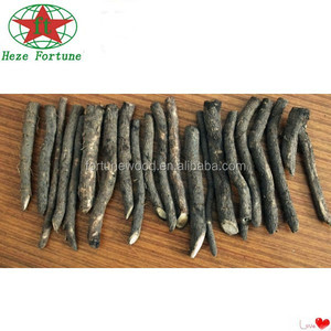 Rễ Cây Hông Paulownia 7 Năm Đến Cây Hông Paulownia - Product Image 3