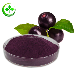 100% <strong>Pure</strong> <strong>Acai</strong> <strong>Berry</strong> <strong>Extract</strong> Powder - Product Image 1