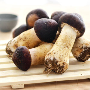 Detan secas <span class=keywords><strong>Agaricus</strong></span> blazei/Nombres de setas - Product Image 2