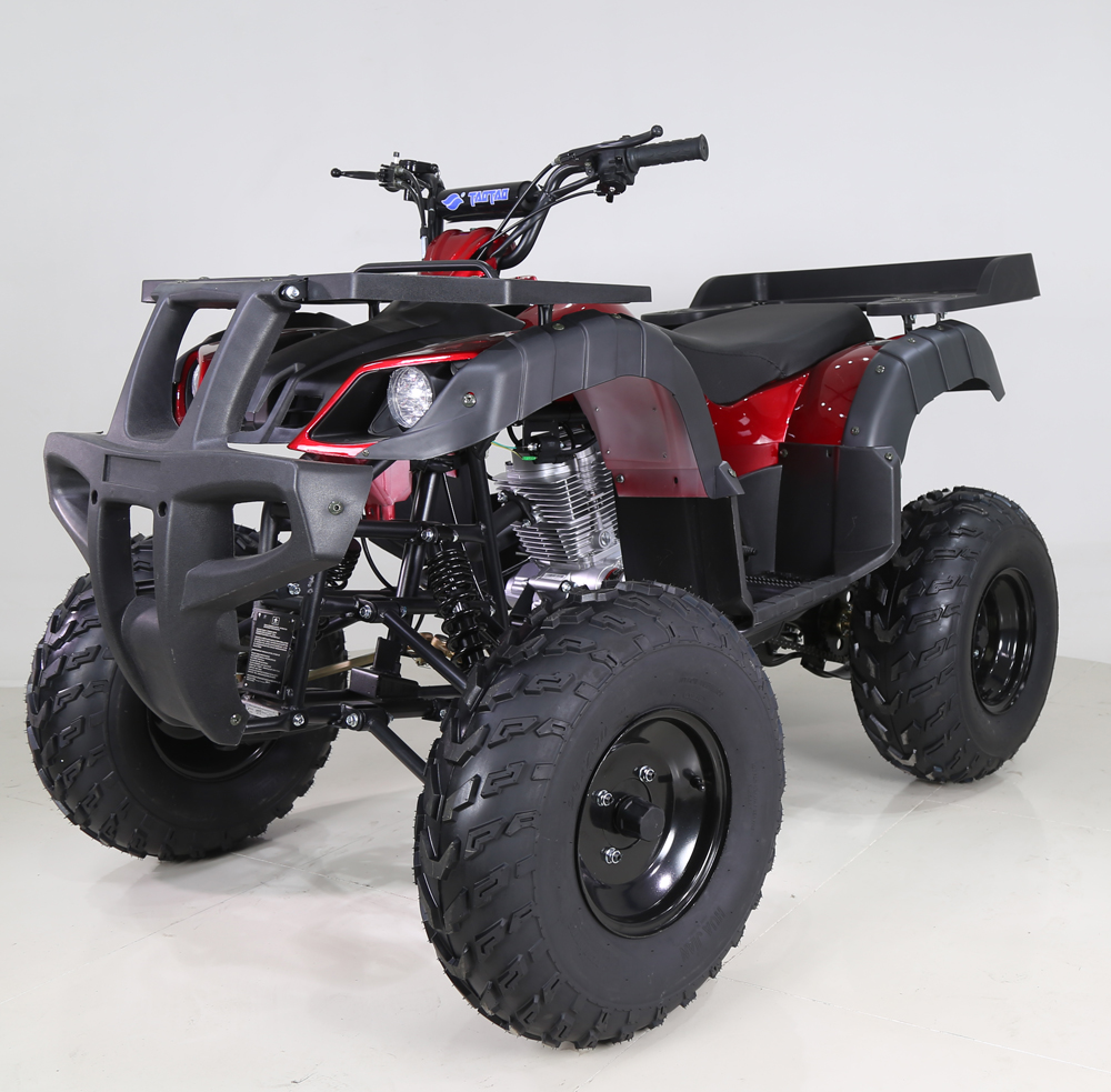 タオモータースチール自動クワッドバイク250ccAtv 250cc 4x4 for