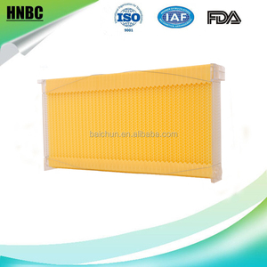Nouveau arrivent miel auto qui coule abeille ruche avec un écoulement plastique ruche cadres - Product Image 6