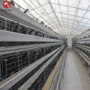 2024全自动家禽蛋笼/鸡笼设备出售