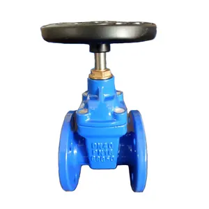 Ductile iron resilient seated flagned Gate Valve DN40