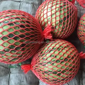Colorful Fruit Vegetable And Bottle Foam Sleeve Mesh Netting