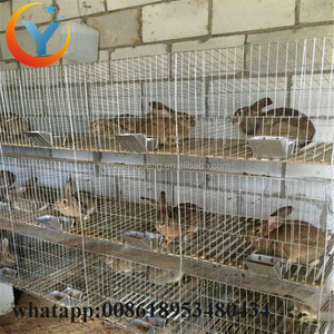 Good Quailty Rabbit Battery Cage With Plastic Trays for rabbit cheap