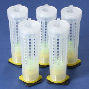 2018 attrezzature apicoltura rifornimento della fabbrica di bambù di plastica apicoltura ape regina gabbia - Product Image 6