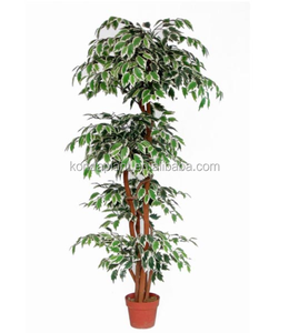 Macetas de plantas de hoja perenne árbol de ficus Artificial para la venta artificial al aire libre - Product Image 5