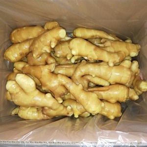 Harga Grosir Pasar Jahe Segar Panen Baru Dari Cina - Product Image 4