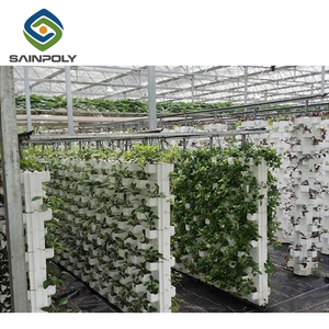 Invernadero multispan de plástico con película hidropónica, gestión automatizada, 200mic, 150mic, para Pimentón de tomate - Product Image 5
