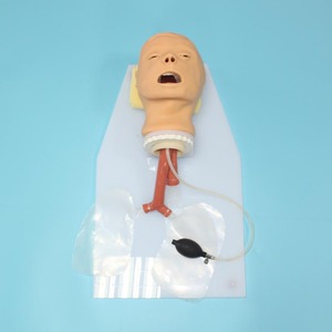 Modelo de Maniquim Médico de PVC de Alta Qualidade J4A para Treinamento Avançado de Intubação de Via Aérea em Crianças e Adultos com Tubo Nasogástrico - Product Image 5