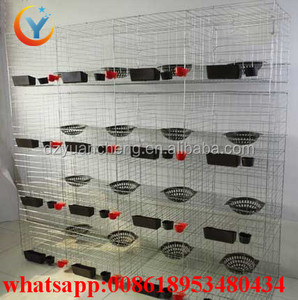 <span class=keywords><strong>Hot</strong></span> Koop Steel Racing Duif Kooi En Duif Huis Voor Duif Laag - Product Image 4
