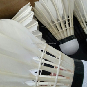 ลูกขนไก่ขนห่าน2023 <span class=keywords><strong>Kawasaki</strong></span> - Product Image 2