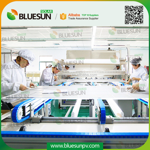 Bluesun solaire panneau trina 270 w poly 24 V 250 w 260 w 280 w canada usa marché - Product Image 4