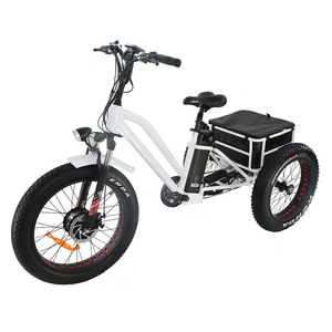 Vélo électrique à trois roues à moteur électrique de 250 W à entraînement avant alimenté par une batterie au lithium de 36 V 10,4 Ah - Product Image 5