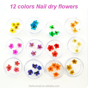 Naturale di Arte Del Chiodo di 12 Colori Decorazione di Fiori Secchi - Product Image 6