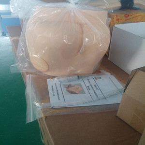 Hbuttocks ADA PVC insan vücudu anatomik tıbbi Model kalça kas kas içi enjeksiyon eğitimi için (insan yaşam boyutu) - Product Image 5
