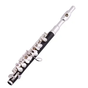 Woodwind साधन एबीएस पिकोलो HPL-801