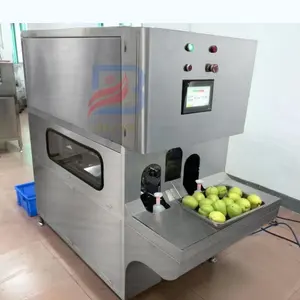 Automatische Fruit Dunschiller Jackfruit Peeling Machine