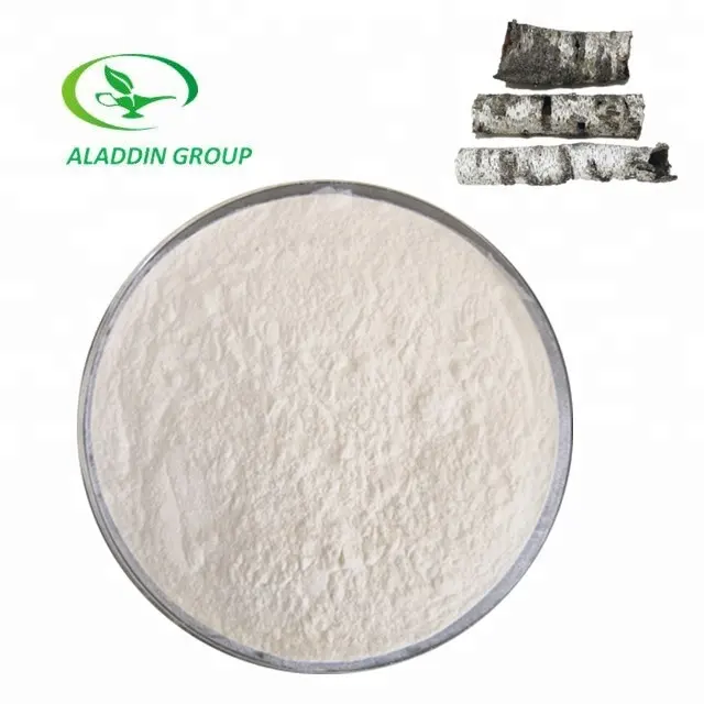 HALAL factory supply wholesale high quality betula alba bark extract powder