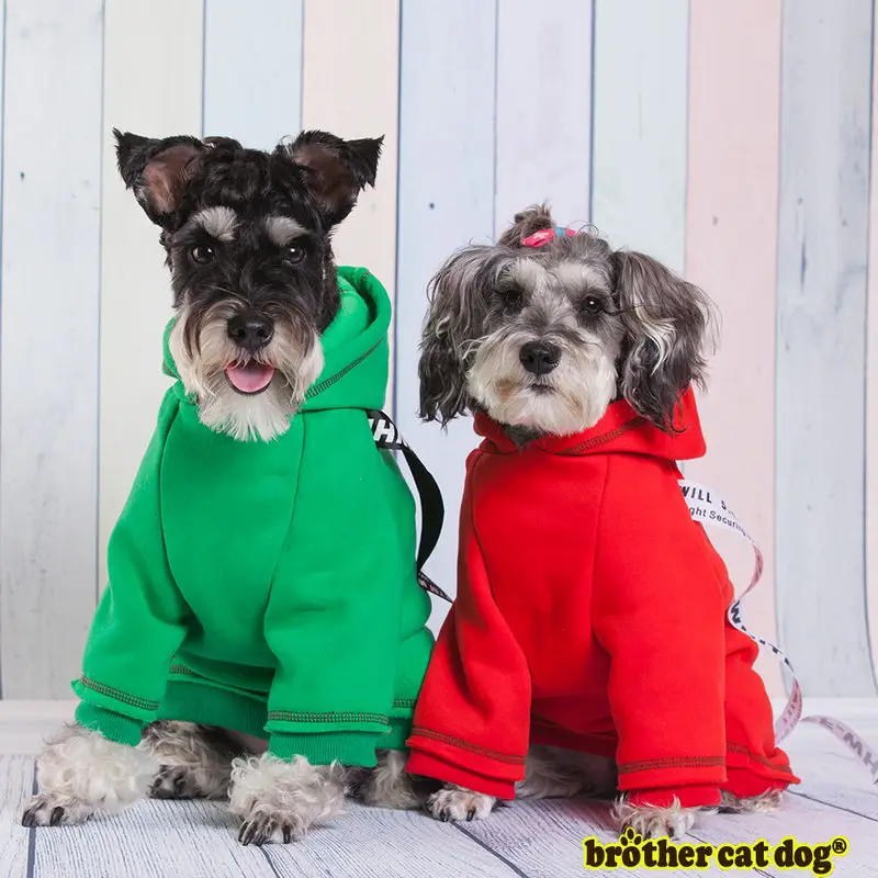 Pull crocheté pour chien, personnalisé, robe de noël pour animaux de compagnie, vêtements tricoté, confortables pour chien