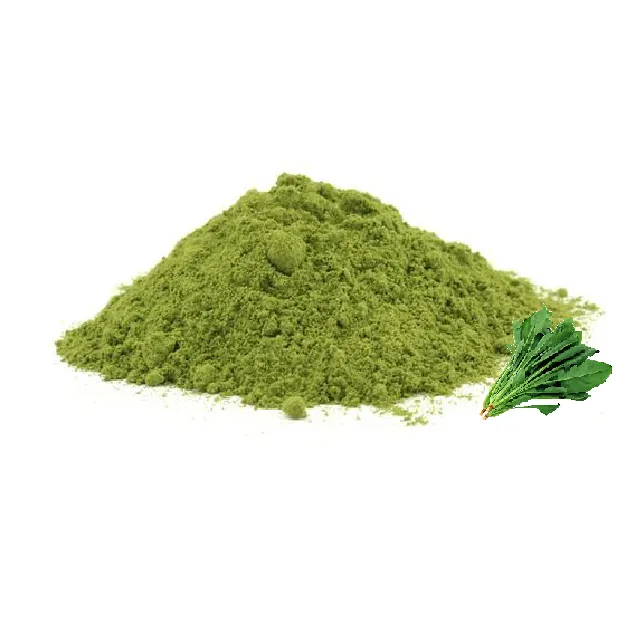 10% Ecdysone wasser spinat extrakt Spinacia oleracea pulver
