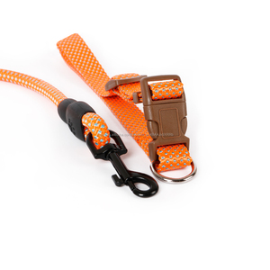 Venta caliente nuevo diseño táctico linda de Dongguan claro Multi función grande de bambú de la correa de perro - Product Image 4