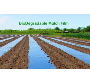 films de paillage agricoles bon marché pour les cultures à usage agricole - Product Image 2