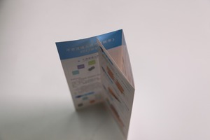 2018 Su Ordine A Buon Mercato Promozione Volantino Pieghevole Commerciale Foglio Illustrativo - Product Image 3