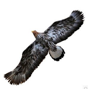 Puerta regalo <span class=keywords><strong>de</strong></span> boda adornos mimoso activado pájaro <span class=keywords><strong>de</strong></span> juguete - Product Image 2