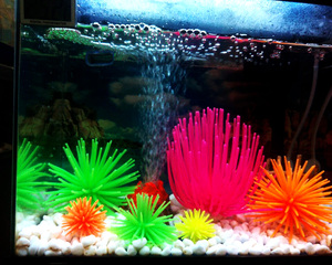 <span class=keywords><strong>Aquarium</strong></span> <span class=keywords><strong>mer</strong></span> oursin, artificielle aquatiques <span class=keywords><strong>mer</strong></span> oursin, en plastique aquatiques <span class=keywords><strong>mer</strong></span> oursin - Product Image 4