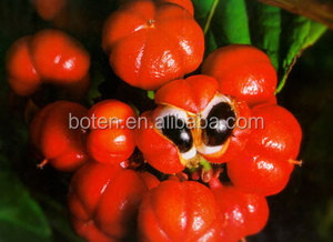 Bubuk Biji <span class=keywords><strong>Guarana</strong></span> 100% Murni - Product Image 2