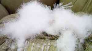 80% Rửa Sạch Trắng Ngỗng Xuống Nguyên Liệu FP 700 90% Màu Xám Ngỗng Xuống Ngỗng Xuống Điền Nguyên Liệu Điền Vào Điện 800 - Product Image 2