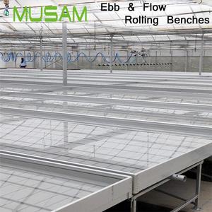 Système complet <span class=keywords><strong>de</strong></span> tables roulantes hydroponiques à flux et reflux avec plateaux <span class=keywords><strong>de</strong></span> <span class=keywords><strong>culture</strong></span> 4x20ft, 4x30ft, 4x40ft - Product Image 3