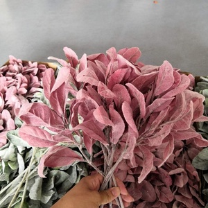 <span class=keywords><strong>Senecio</strong></span> Cineraria,มิลเลอร์พันธุ์ไม้เทียมขายส่งปี FC7512 - Product Image 5
