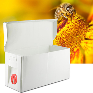 กล่องเพาะพันธุ์ผึ้งควีน PP Nuc สำหรับฟาร์มผึ้ง - Product Image 3