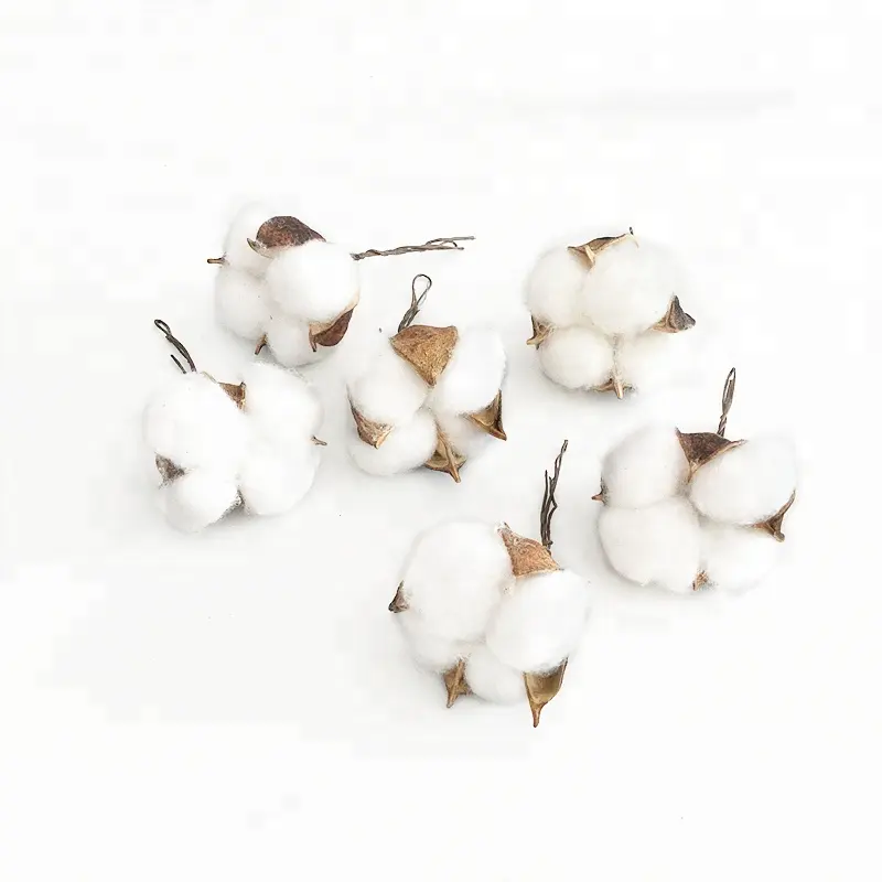 natural dried cotton flowers with stem for home wedding party DIY craft decorative