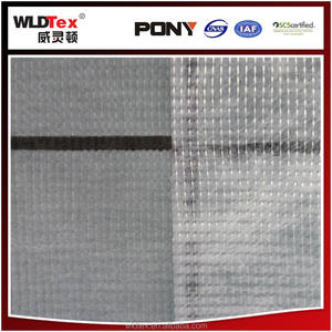 Raya al por mayor pegamento de tela de malla de serigrafía de poliéster para estera - Product Image 1