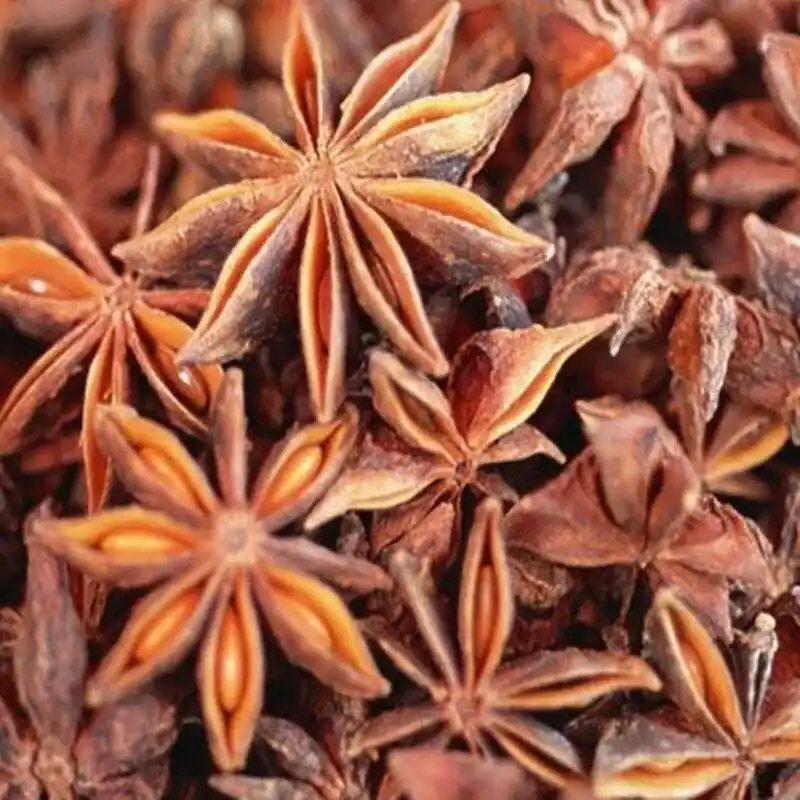 Семена фенхеля звездного аниса по заводской цене, распродажа осеннего аниса звездного