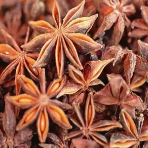 Factory Price Star Anise Fennel Seeds For Sale Autumn Star Anise