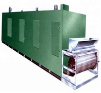 DWT2-10-1 Serie Industriële Fruit Drogers