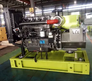 45KW 50 HZ diesel generator geschlossen/stille typ