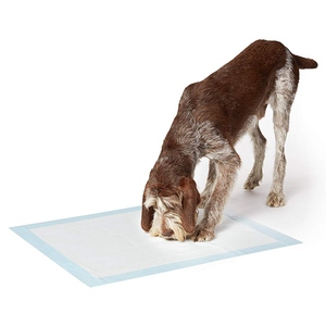 Alfombrillas Impermeables para Cachorros de Gran Tamaño y Bajo Precio, Alfombrillas de Entrenamiento para Perros, Alfombrillas para Orinar para Perros - Product Image 1