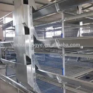 La avicultura fabricación de equipos equipo de alimentación de pollo para la venta