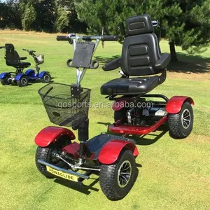 Xe Golf Điện Mini Một Chỗ Ngồi