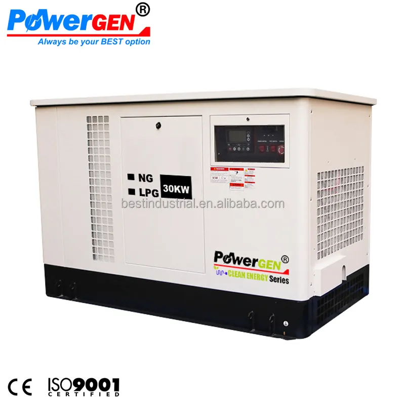 POWERGEN 침묵하는 액체 냉각된 LPG/NG 대기 가정 백업 발전기 30KW