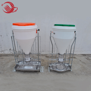 Alimentatore automatico di maiale